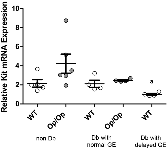 Figure 5