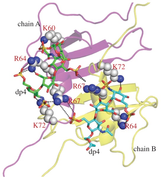 Figure 7.