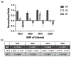 Figure 6 -