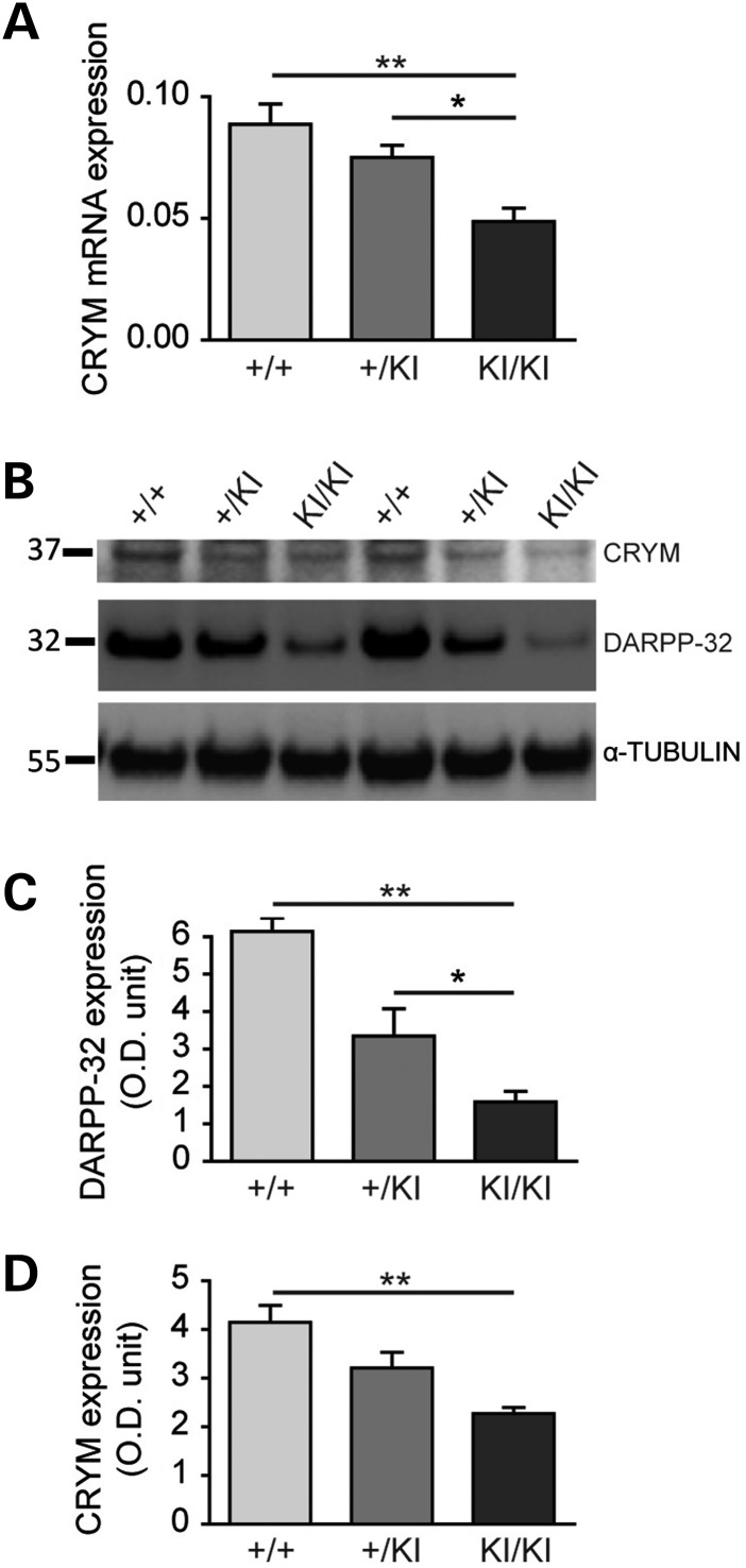 Figure 5.