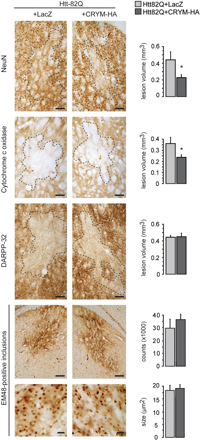 Figure 6.