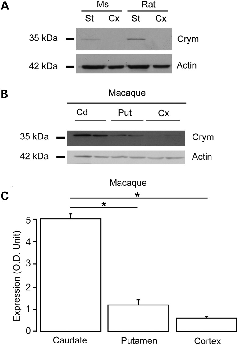 Figure 1.