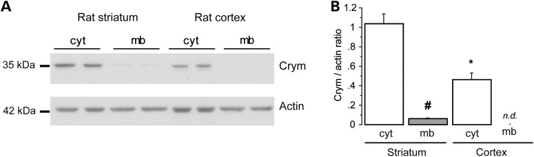 Figure 2.