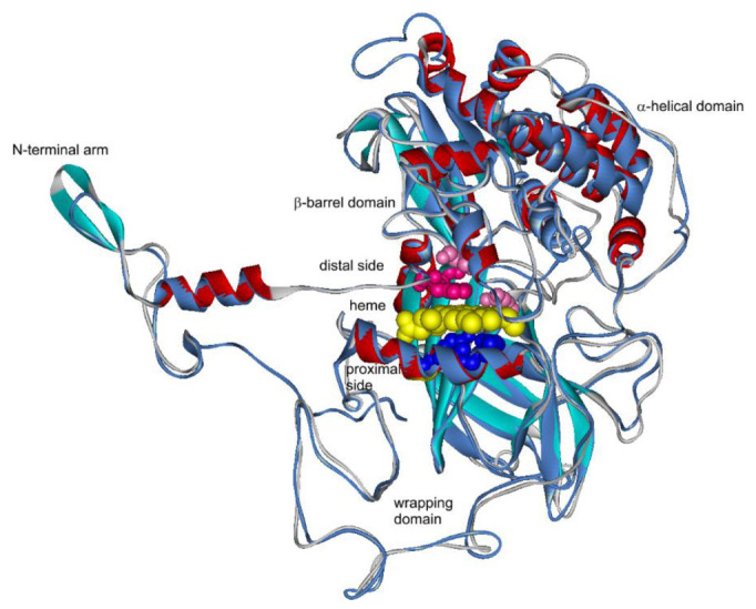 Figure 7