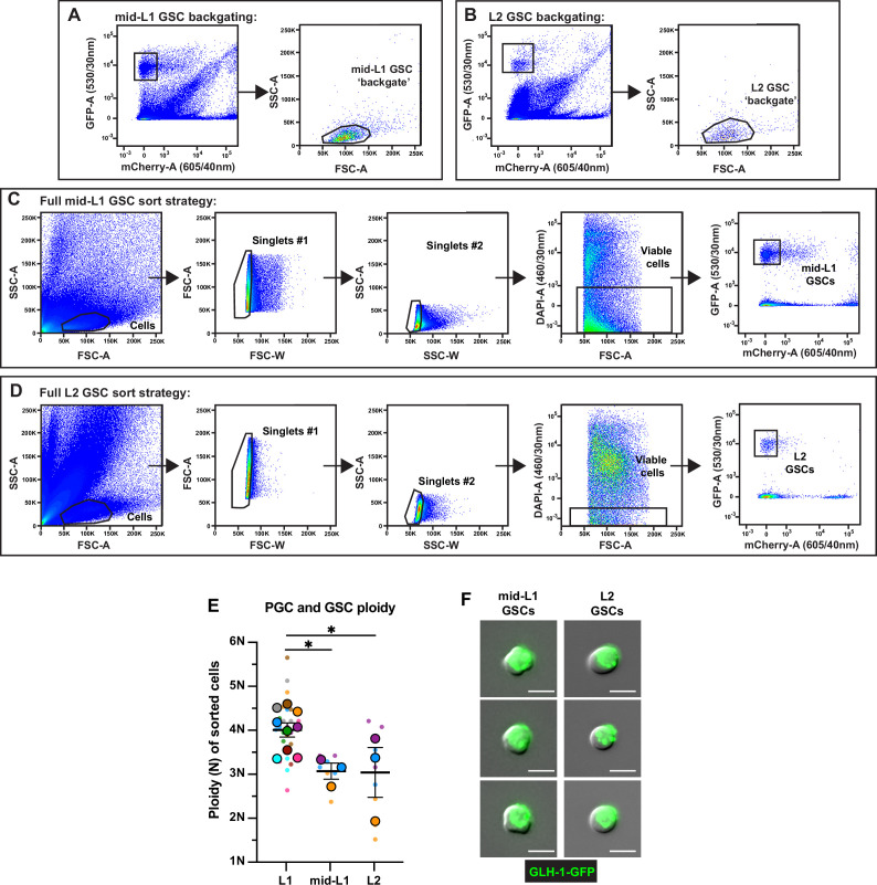 Figure 3—figure supplement 2.