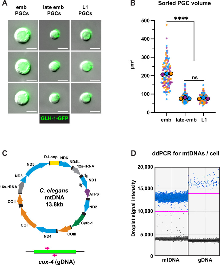 Figure 2—figure supplement 2.