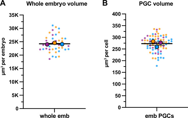 Figure 2—figure supplement 3.