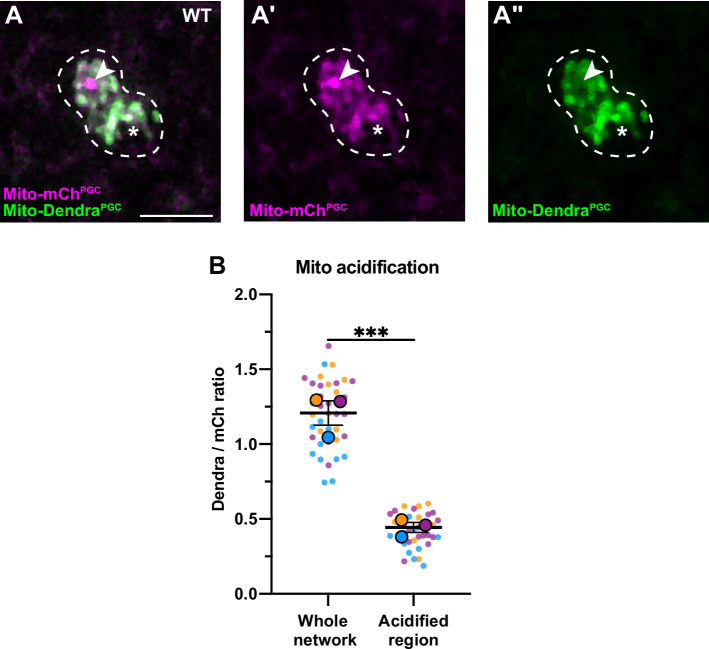 Figure 2—figure supplement 4.