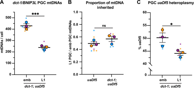 Figure 5—figure supplement 1.