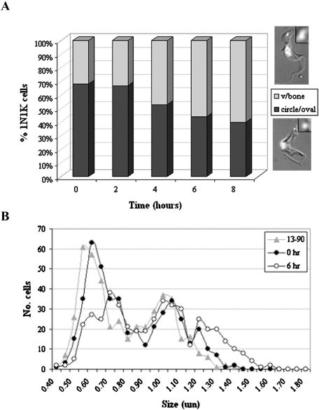 Fig. 8