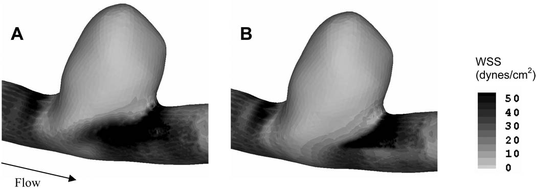 Figure 8