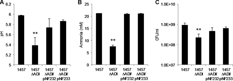 FIG 8