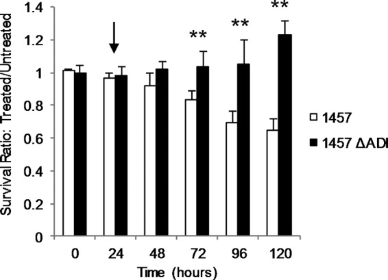 FIG 6