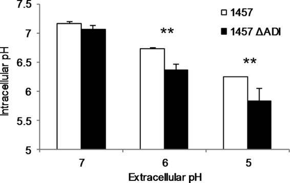 FIG 4