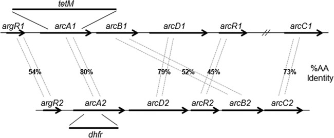 FIG 2