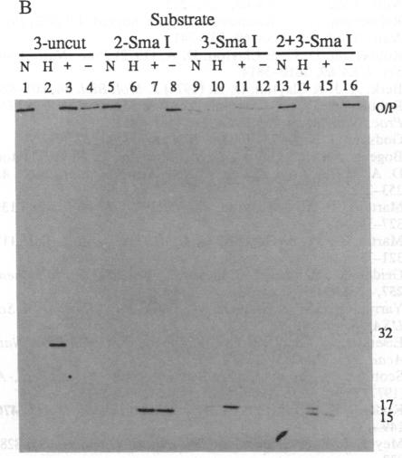 graphic file with name pnas01092-0166-a.jpg