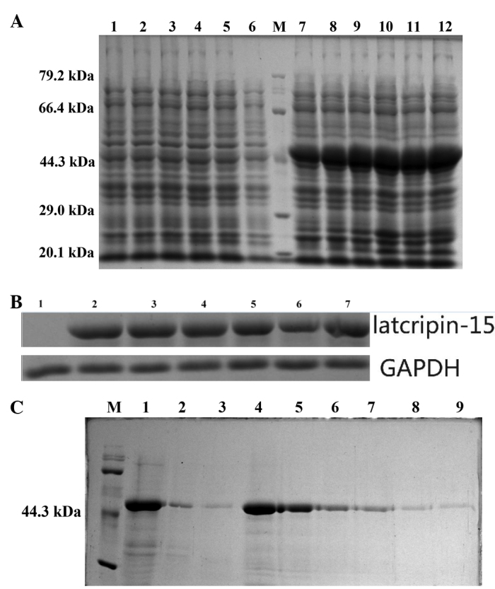 Figure 3.