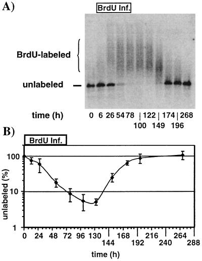 FIG. 7