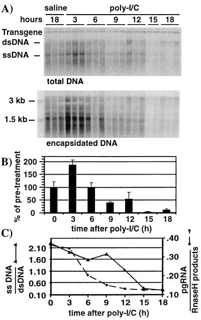 FIG. 6