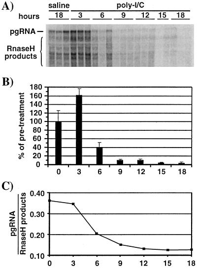 FIG. 5