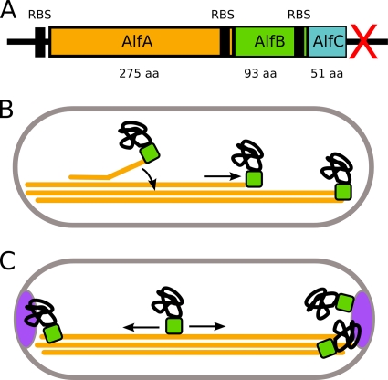 FIG. 8.