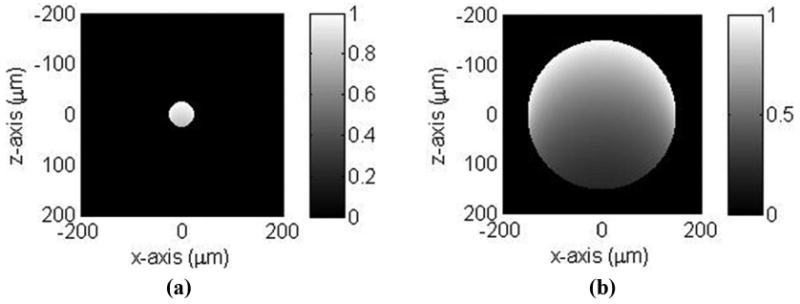 Fig. 10