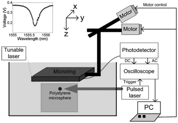 Fig. 2