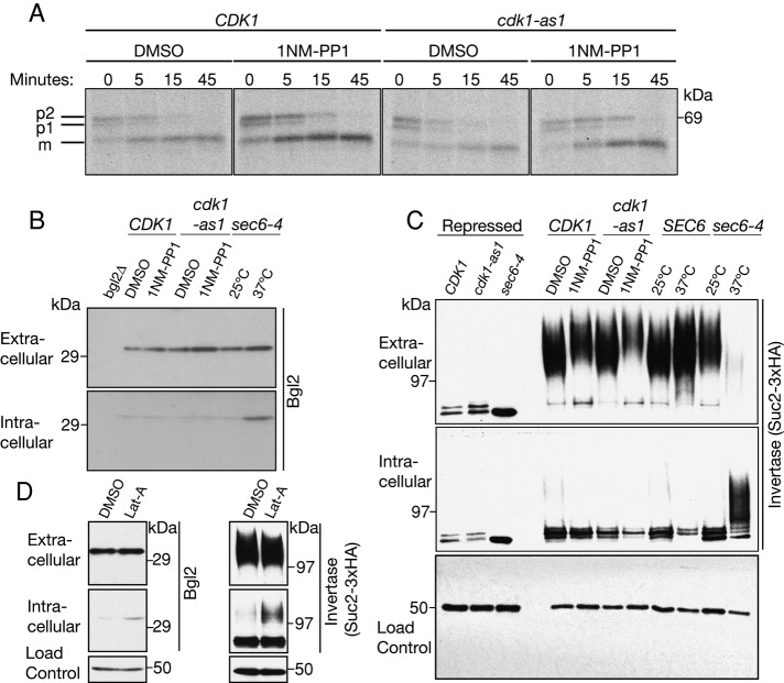 FIGURE 4: