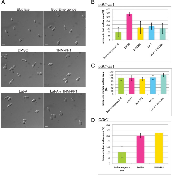 FIGURE 1: