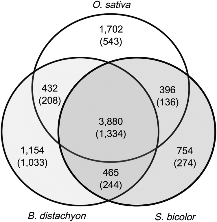 Figure 6.