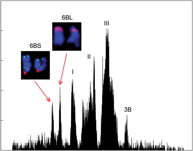 Figure 1.