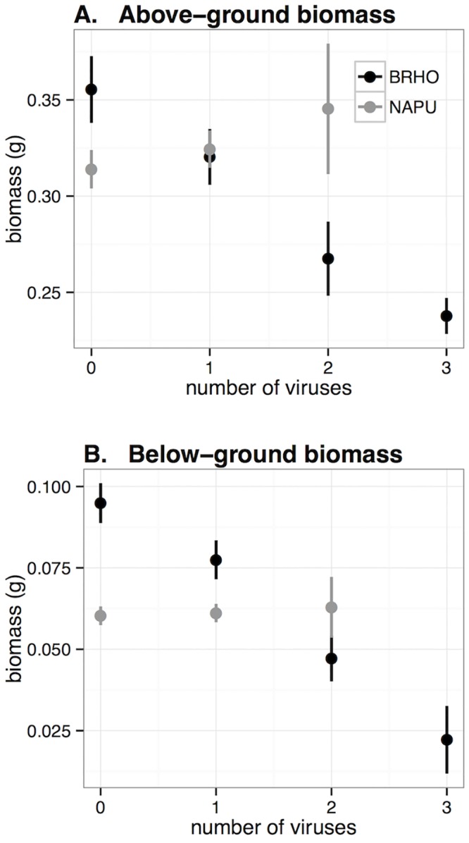 Fig 6