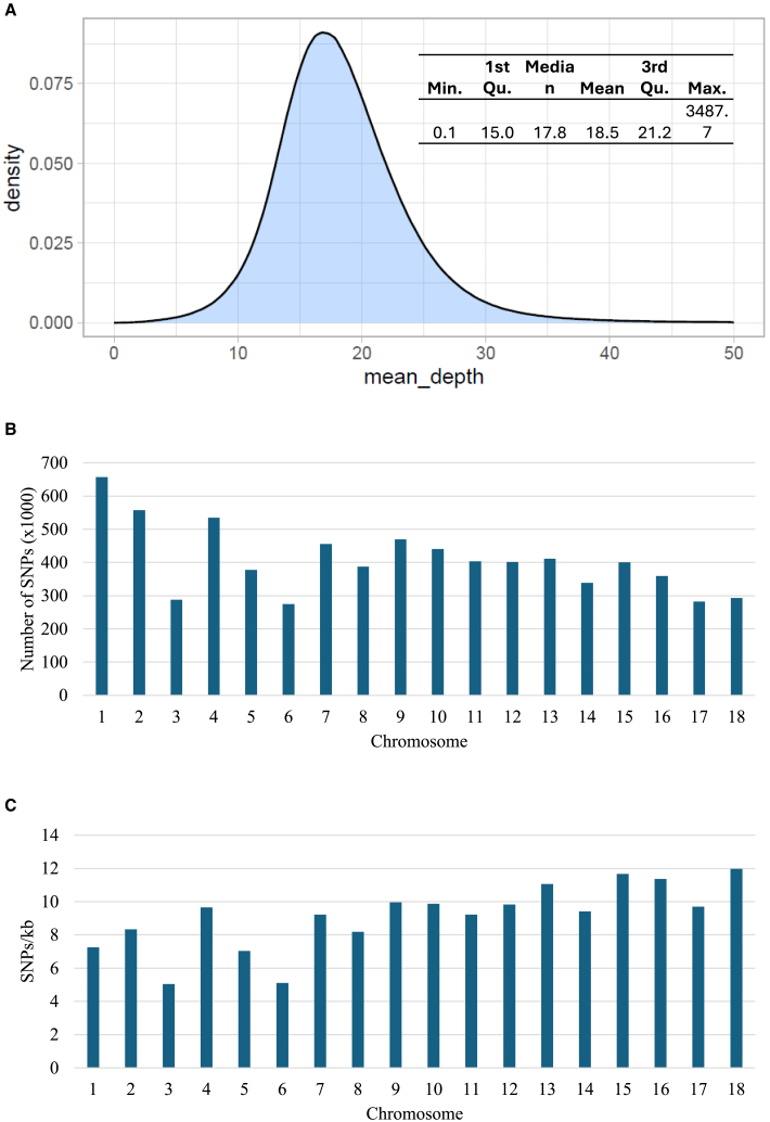 Figure 2