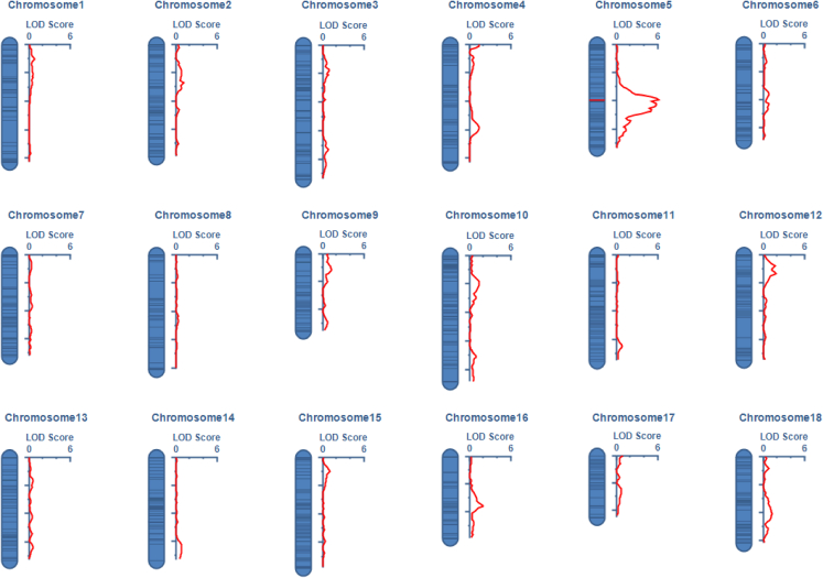 Figure 6