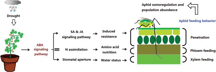 Fig. 9.