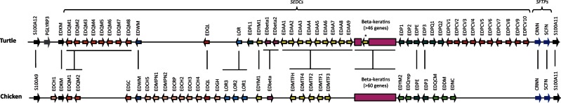 Fig. 2.