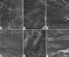 Figure 9.