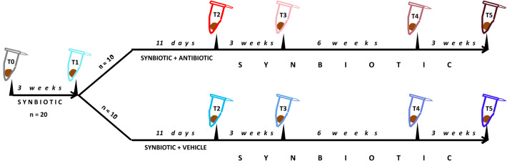 Fig. 2