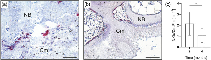 Figure 10.