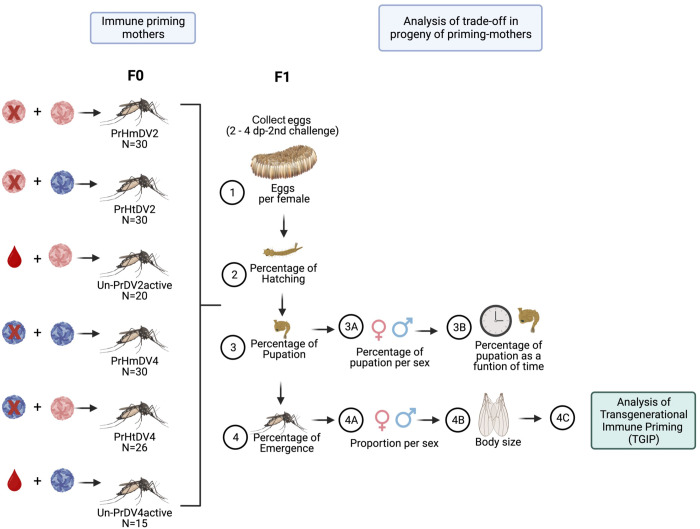 Figure 2