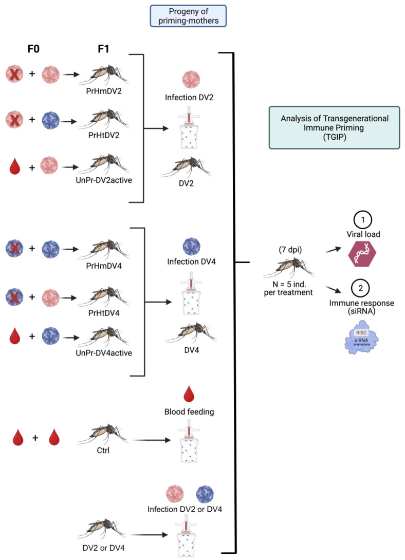 Figure 3