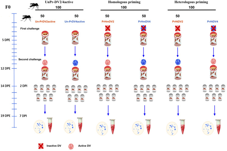 Figure 1