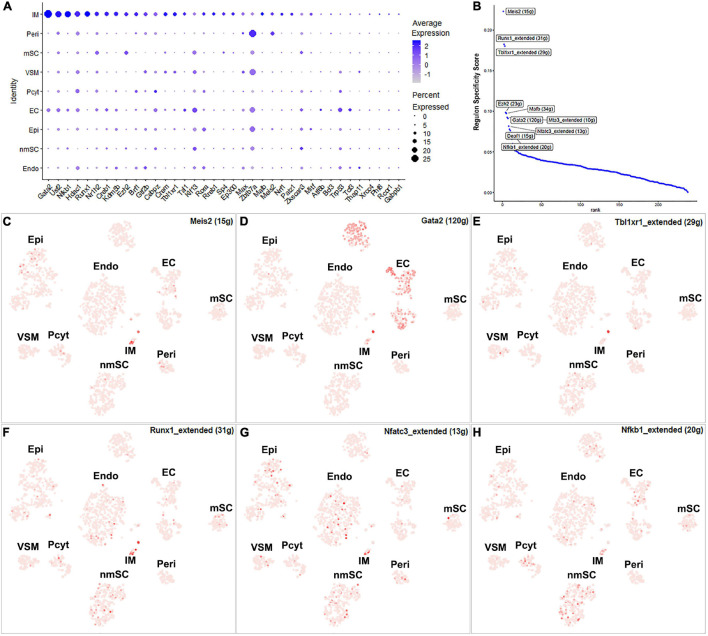 FIGURE 11