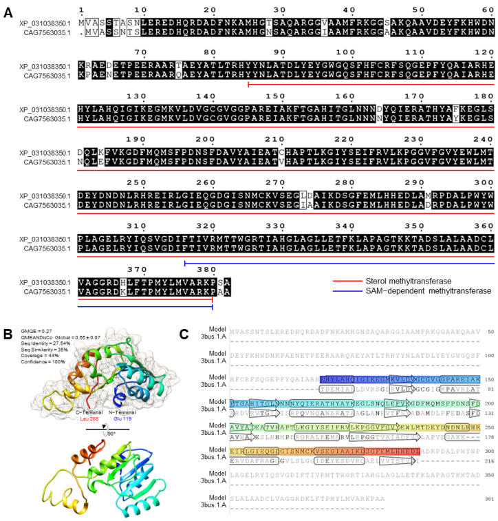 Figure 6