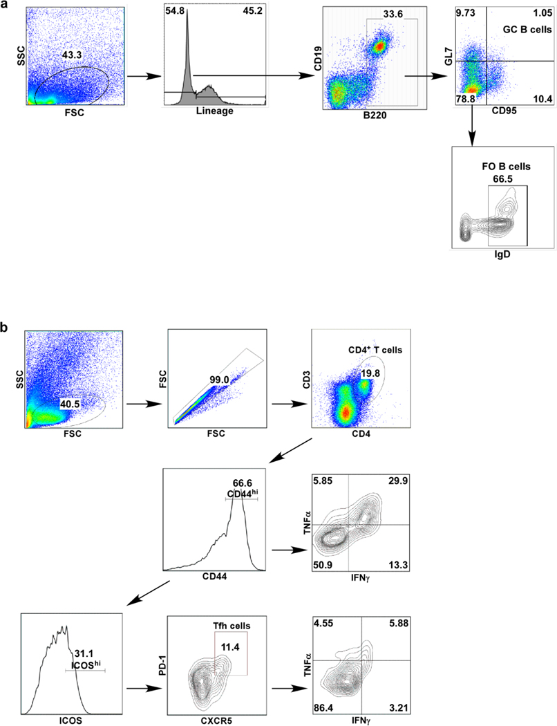 Extended data Fig 9.