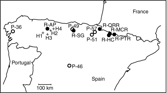 Fig. 1.