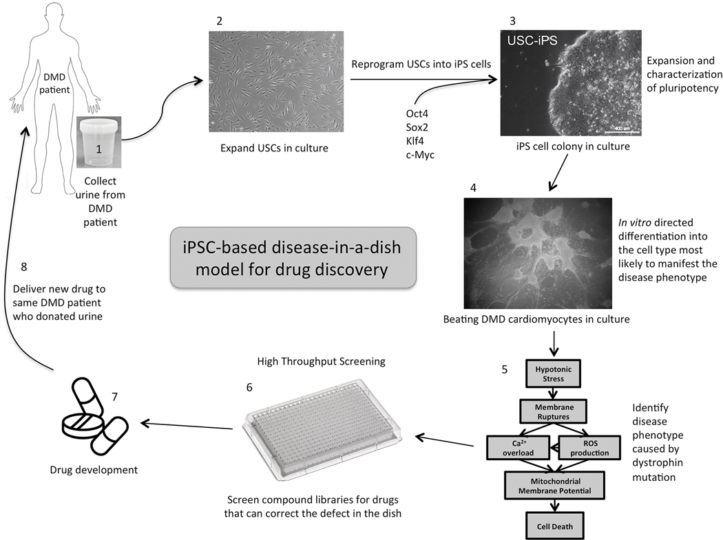 Figure 1: