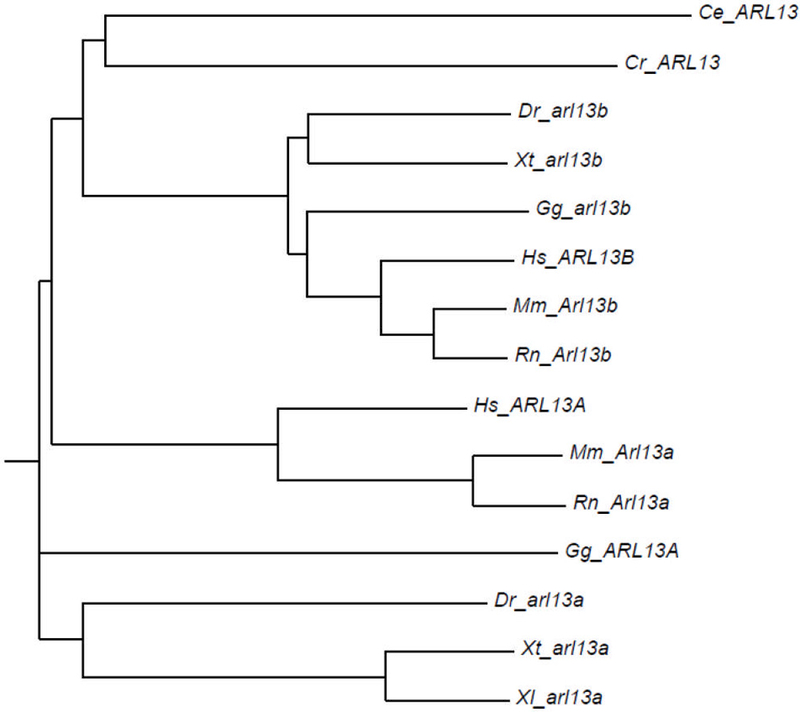 Figure 2.