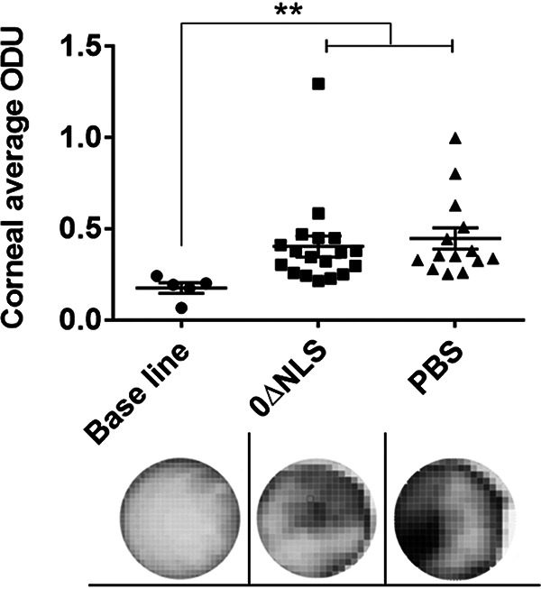 FIG 4