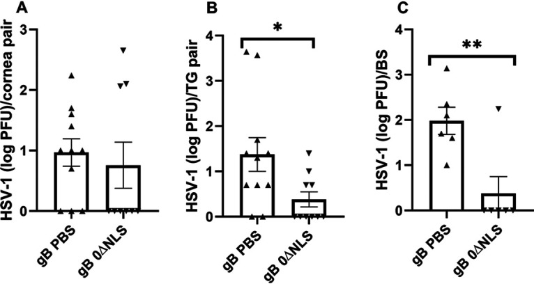 FIG 2